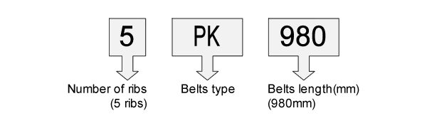 SUN Brand Automotive V-Ribbed Belts (PK) | USHIO INDUSTRIES, LTD.